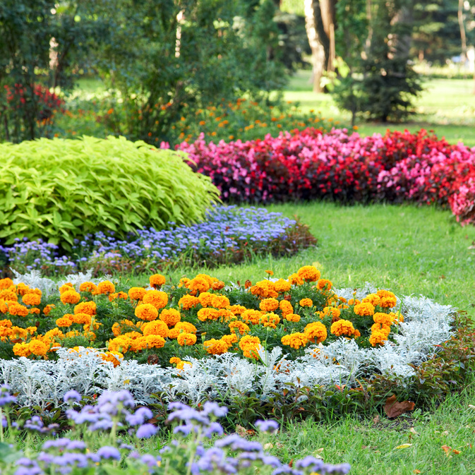 Flower Landscaping in the Garden