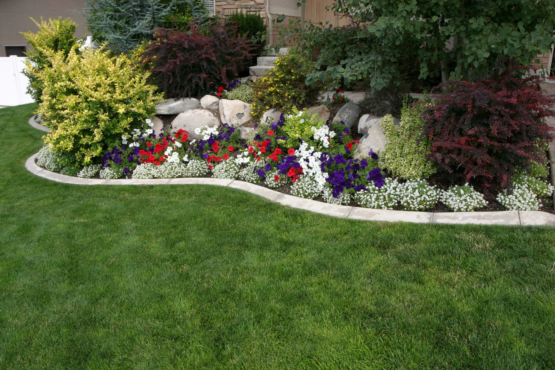 Landscaped Yard